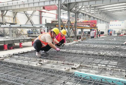 河北抚宁 培育新型建材产业高质量发展强经济 筋骨